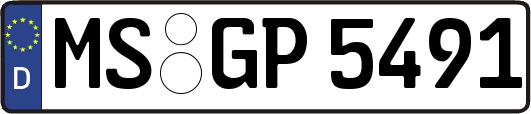 MS-GP5491