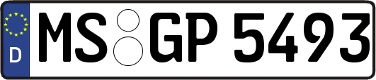MS-GP5493