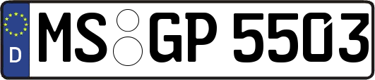 MS-GP5503