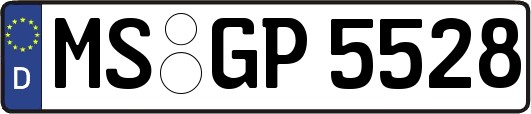 MS-GP5528