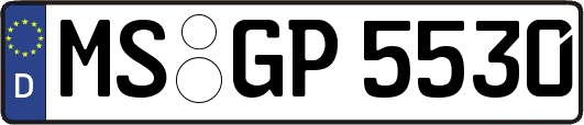 MS-GP5530