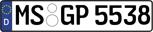MS-GP5538