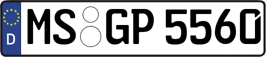 MS-GP5560