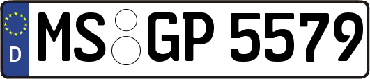 MS-GP5579
