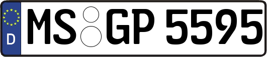 MS-GP5595