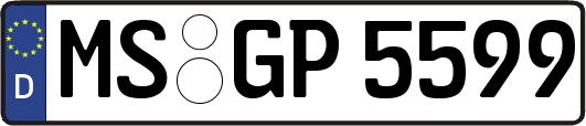 MS-GP5599