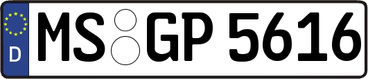 MS-GP5616
