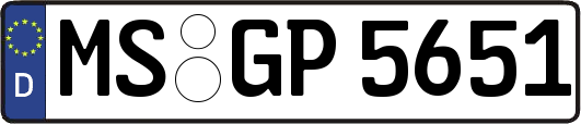 MS-GP5651