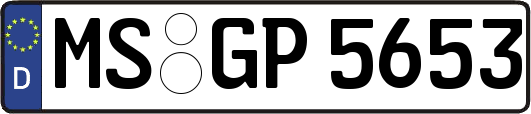 MS-GP5653