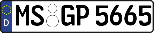 MS-GP5665