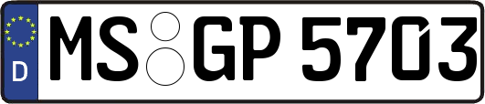 MS-GP5703
