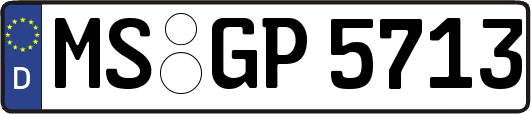 MS-GP5713