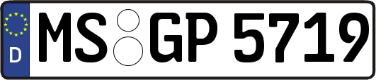 MS-GP5719