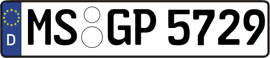 MS-GP5729