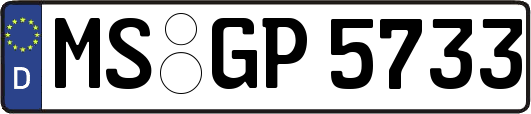 MS-GP5733