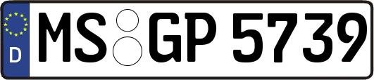 MS-GP5739
