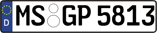 MS-GP5813