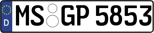 MS-GP5853