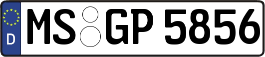 MS-GP5856