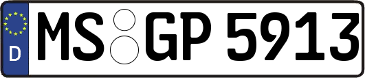 MS-GP5913