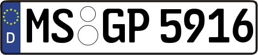 MS-GP5916