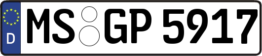 MS-GP5917