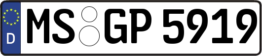 MS-GP5919