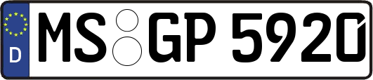 MS-GP5920