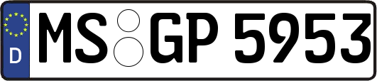 MS-GP5953