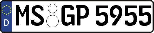 MS-GP5955