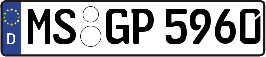 MS-GP5960