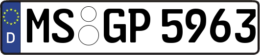 MS-GP5963