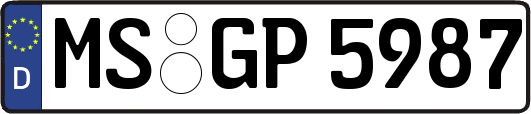 MS-GP5987