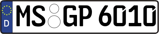 MS-GP6010