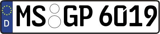 MS-GP6019