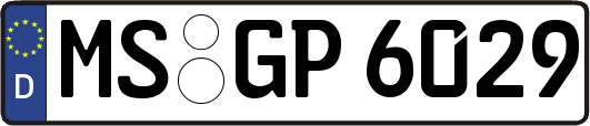MS-GP6029
