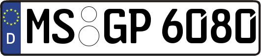 MS-GP6080