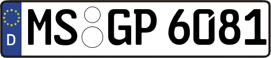 MS-GP6081