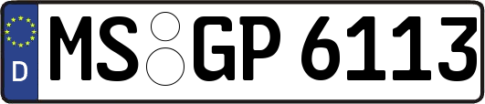 MS-GP6113