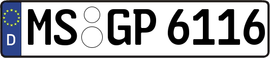 MS-GP6116