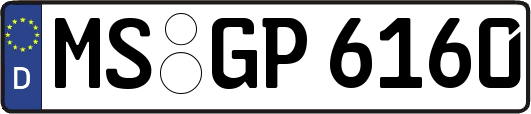 MS-GP6160