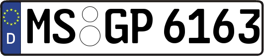 MS-GP6163