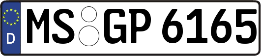 MS-GP6165