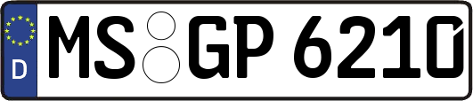 MS-GP6210