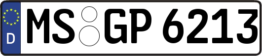 MS-GP6213