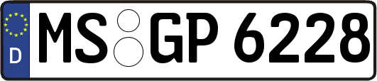 MS-GP6228