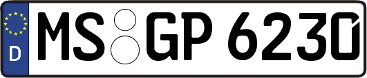 MS-GP6230
