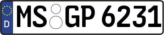 MS-GP6231