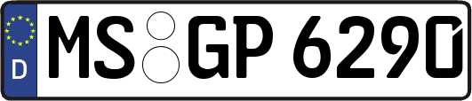 MS-GP6290