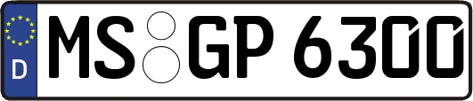 MS-GP6300